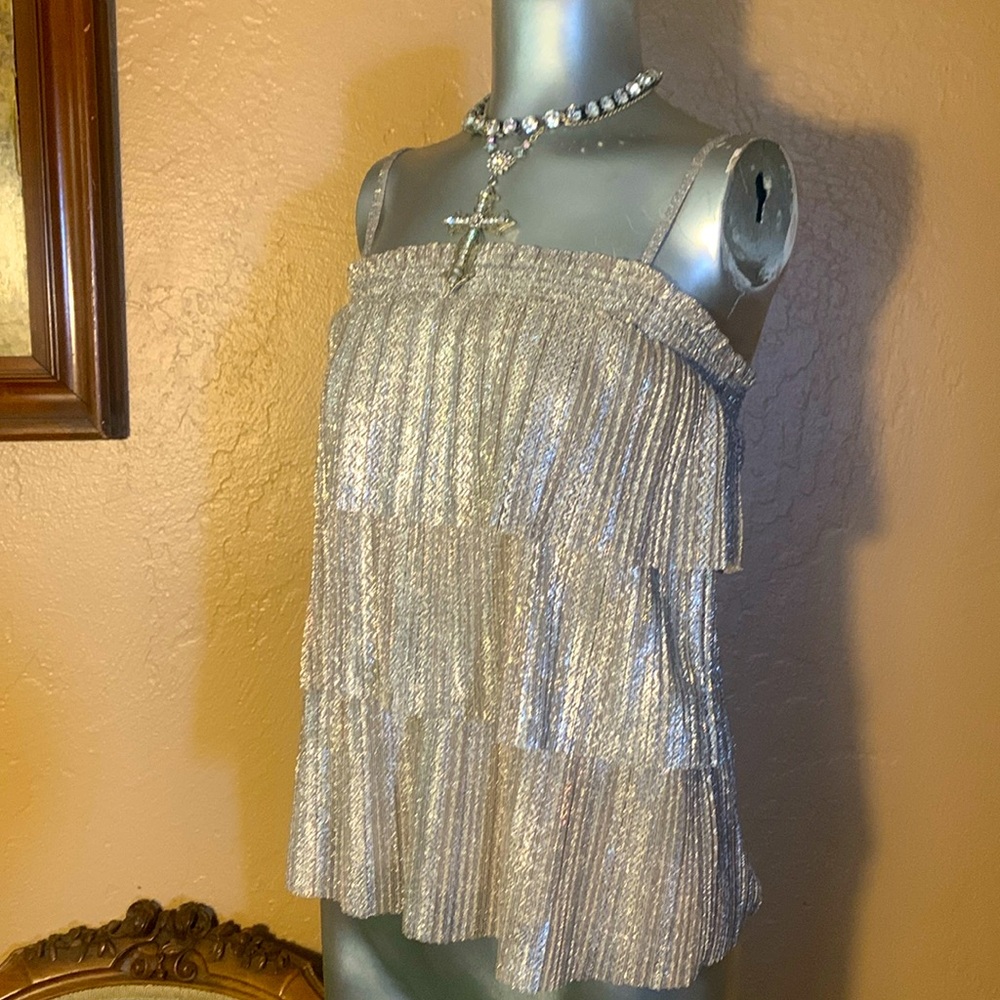 NWT Anthropologie Silver Argnt Top.  SZ XS